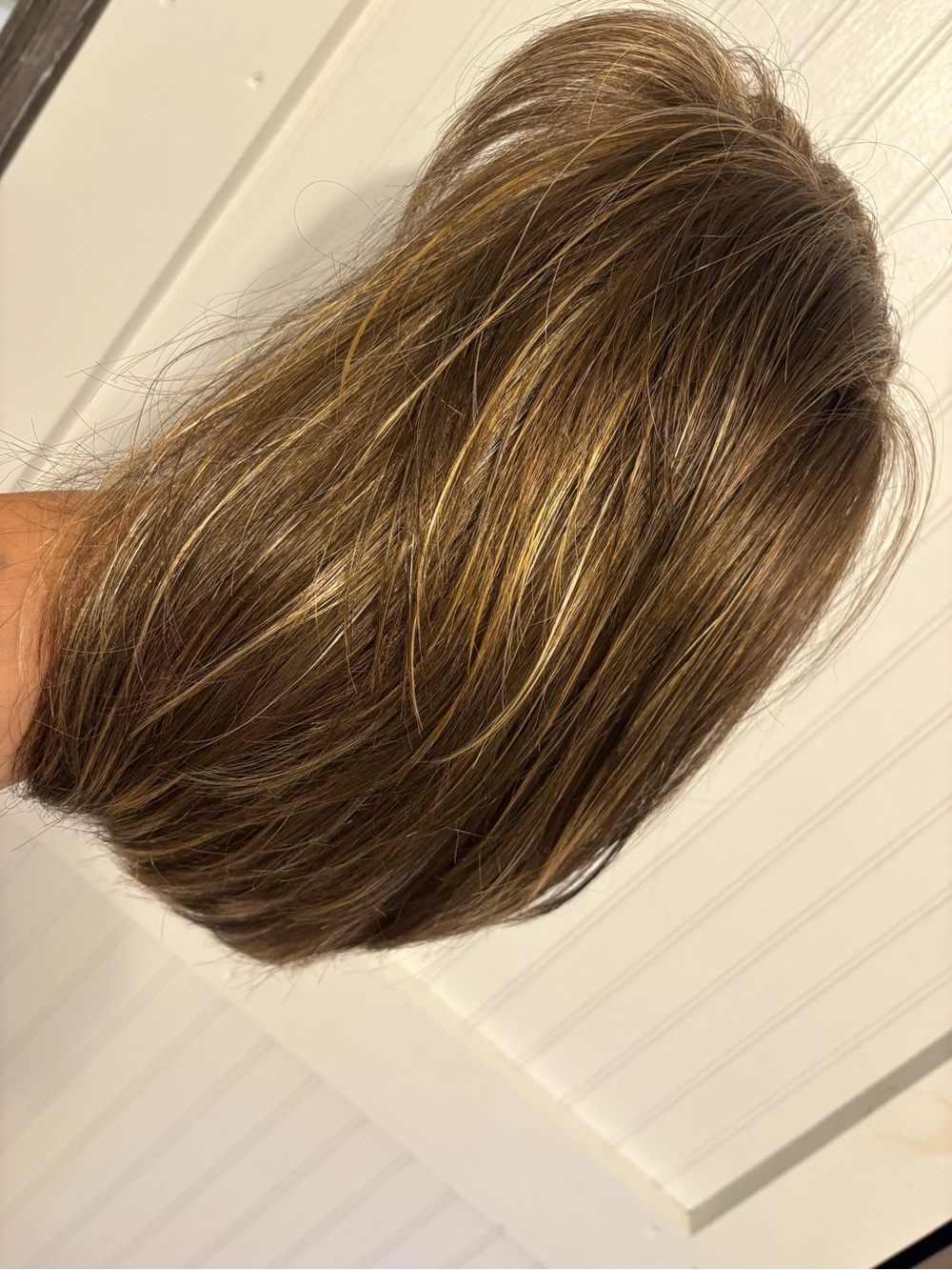 Light Brown Wig with Blonde Highlights — Women's Synthetic Hair